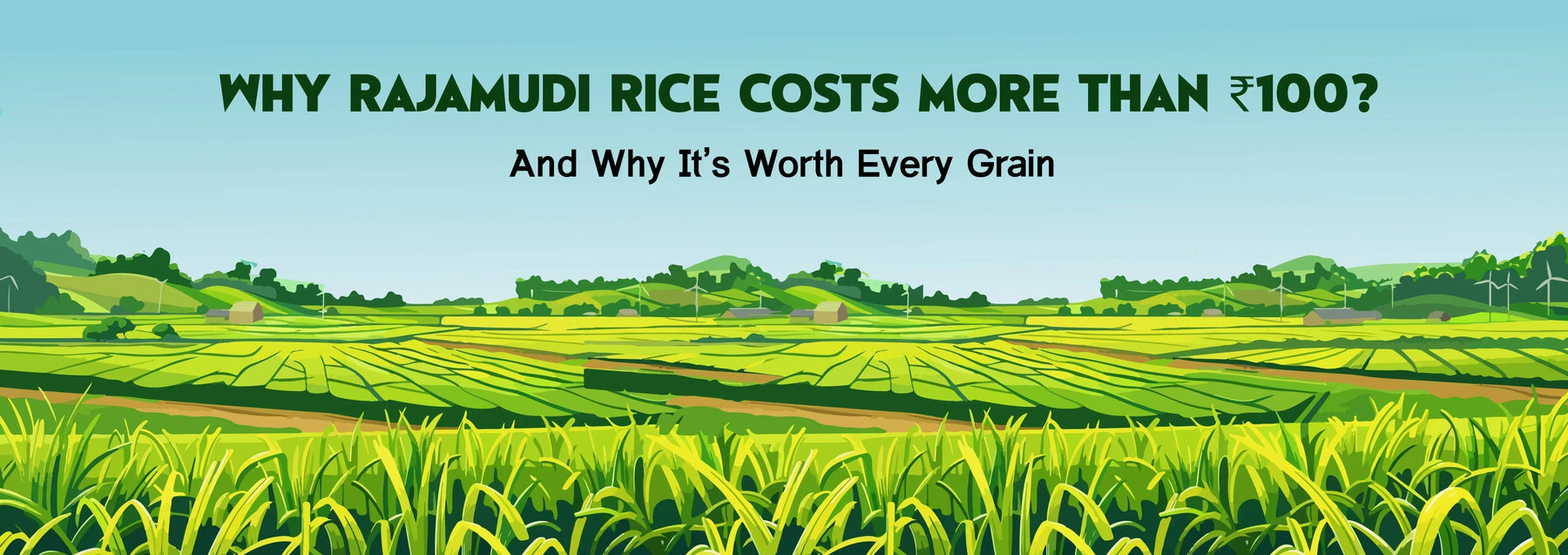 Why Rajamudi Rice Costs More Than ₹100? And Why It’s Worth Every Grain