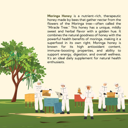 About Moringa Honey