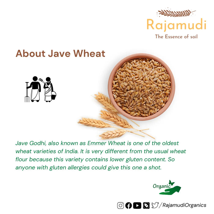 Organic Wheat Khapli / Jave Godhi by Rajamudi