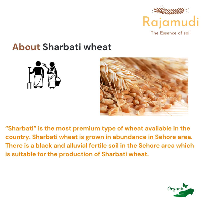 Organic Wheat Sharbati By Rajamudi
