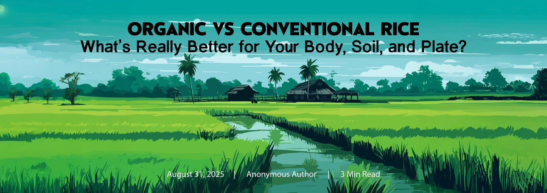 Organic vs Conventional Rice: What’s Really Better for Your Body, Soil, and Plate?