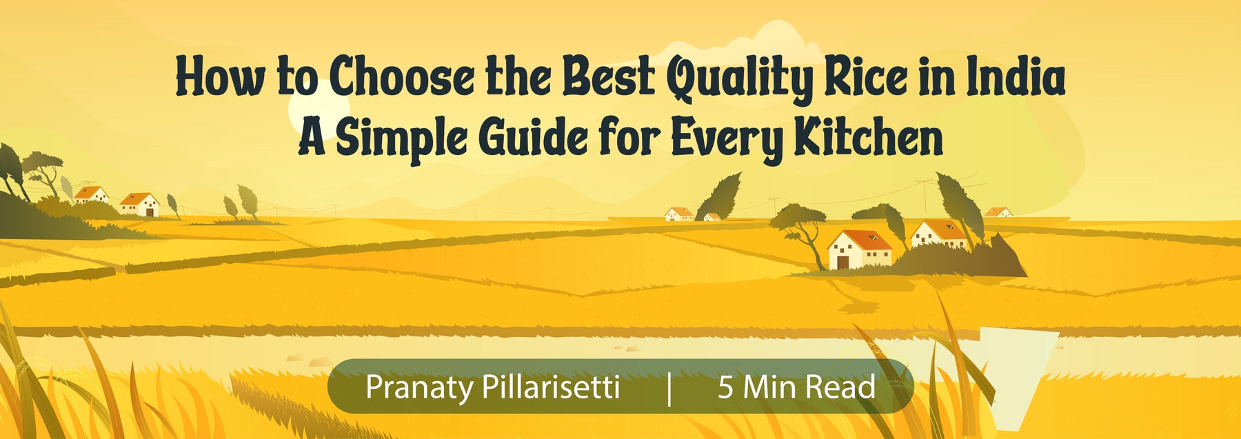 How to Choose the Best Quality Rice in India - A Simple Guide for Every Kitchen