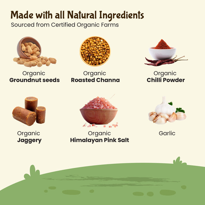 Organic Groundnut Chutney Powder – South Indian Style | Rajamudi Organics