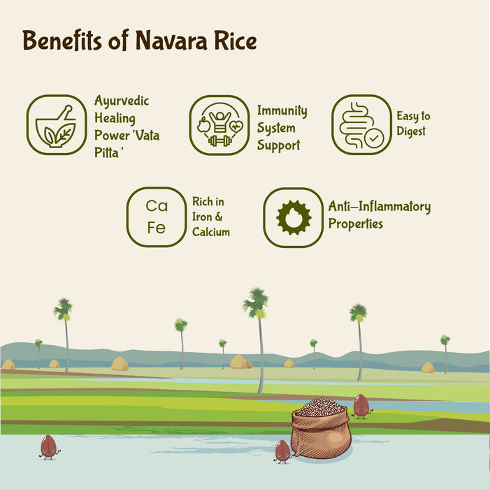 Kerala Medicinal Navara Rice - Organic Navara Rice by Rajamudi